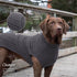 Shedrow K9 Brentwood Cable Knit Dog Sweater Plus XL Grey - Poudre Pet & Feed Supply 3